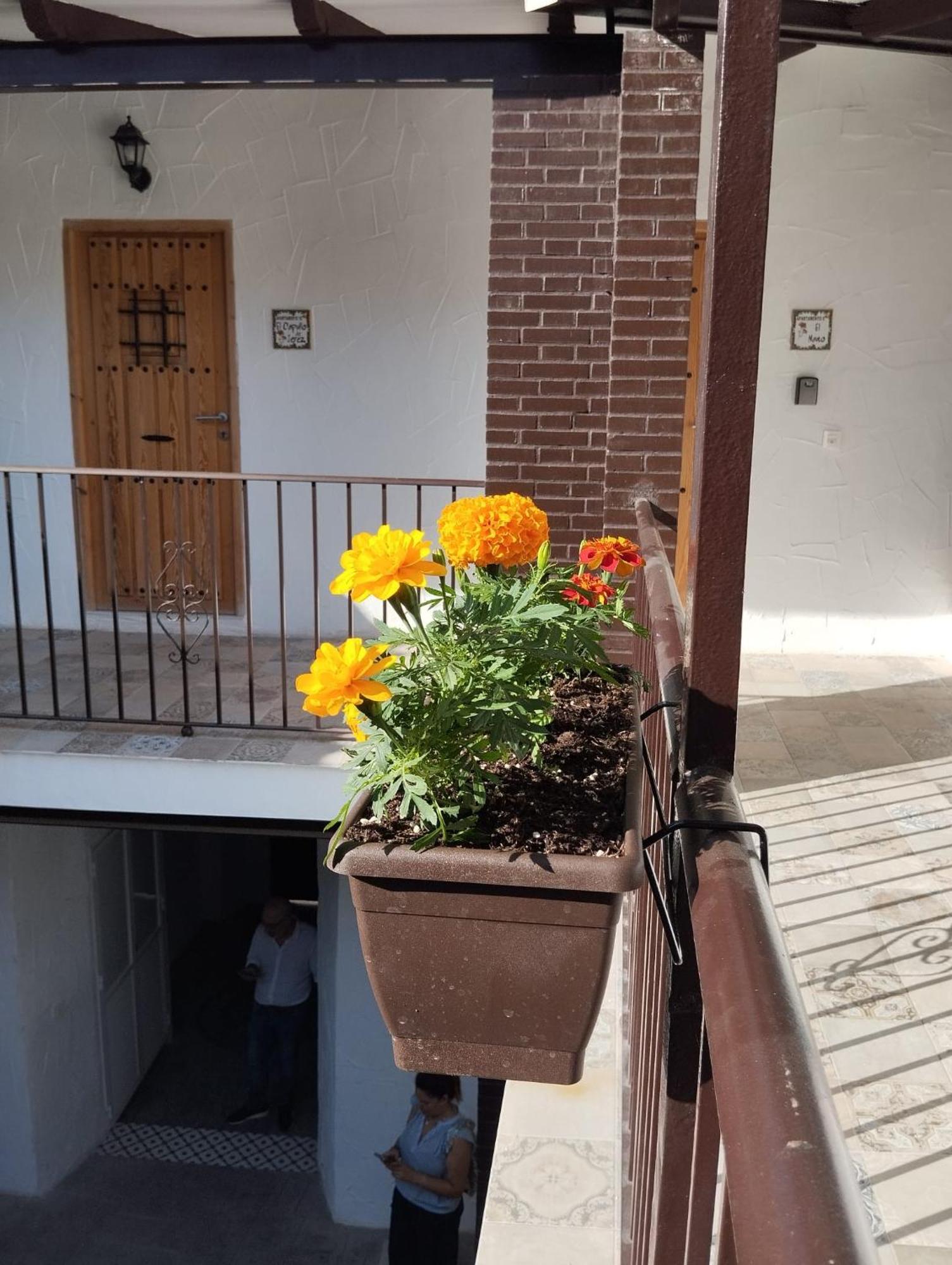 Suite San Mateos 15 헤레스 외부 사진