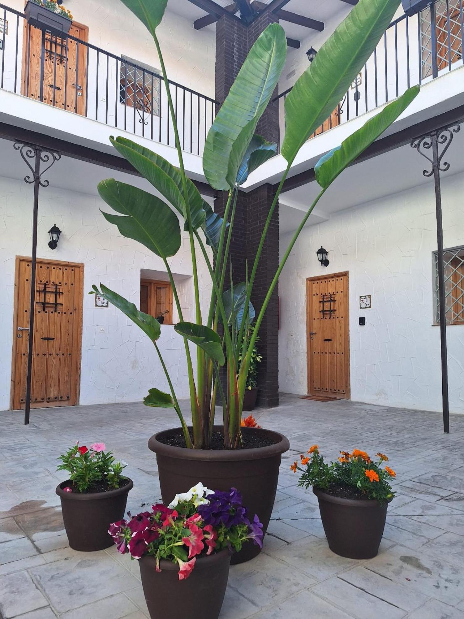 Suite San Mateos 15 헤레스 외부 사진